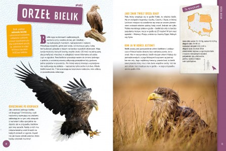 Zwierzęta Polski elibri (2)